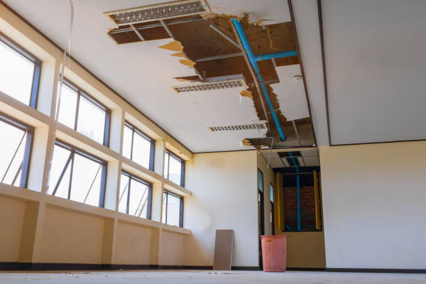 Best Mold removal after water damage  in North Wilkesboro, NC