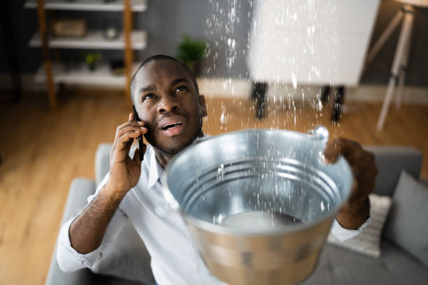  North Wilkesboro, NC Water damage restoration Pros