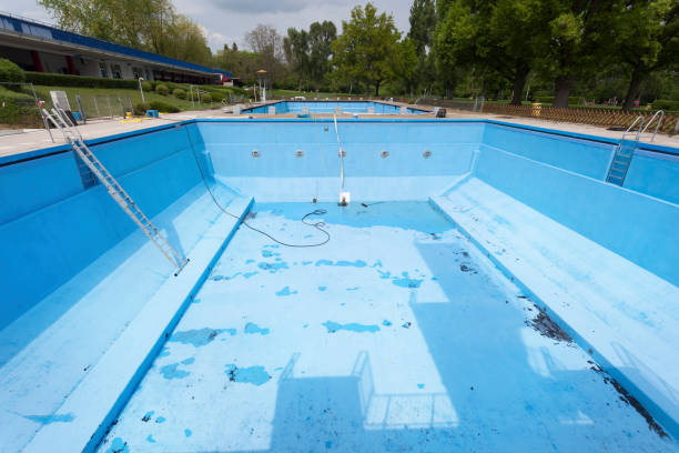 Best Water damage contractors near me  in North Wilkesboro, NC