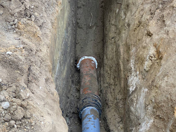 Best Basement water damage restoration  in North Wilkesboro, NC
