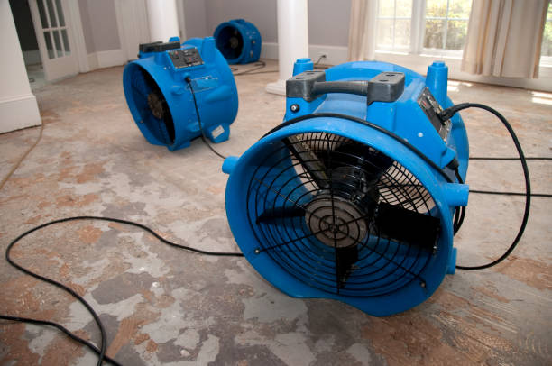 Best Sewage cleanup and water damage restoration  in North Wilkesboro, NC