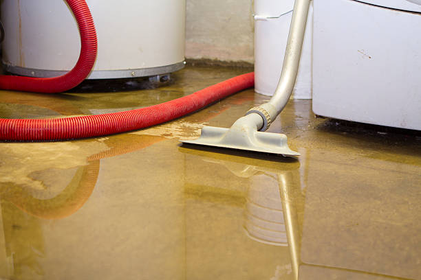Best Water damage restoration near me  in North Wilkesboro, NC