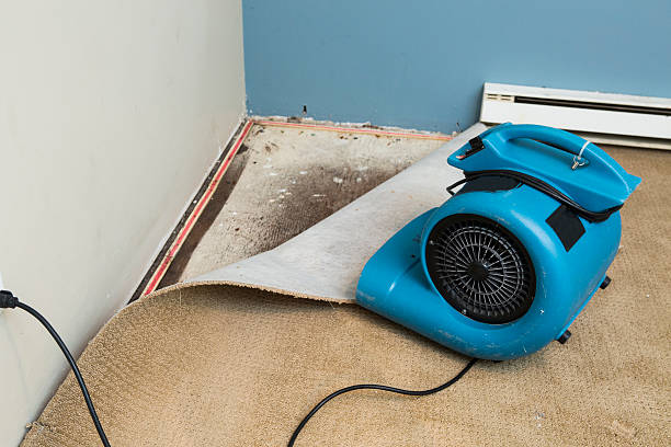 Best Water damage mitigation services  in North Wilkesboro, NC